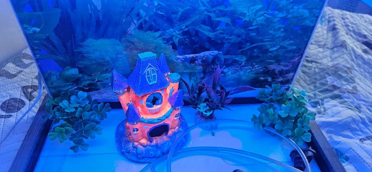 Aquário 30 Litros com 2 luminárias e enfeites - Foto 3