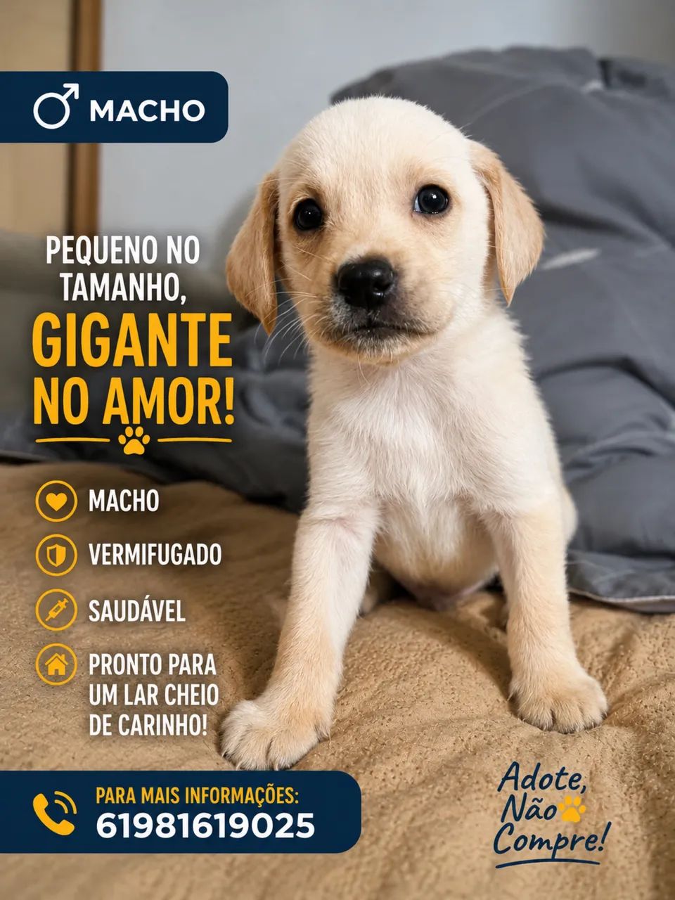 Filhotes para doar - Foto 2