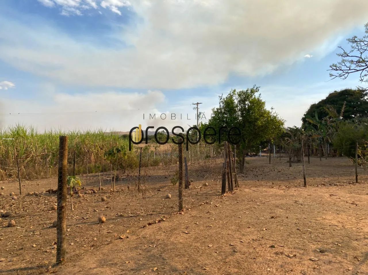 Sítio para Venda em Altinópolis, centro - Foto 5