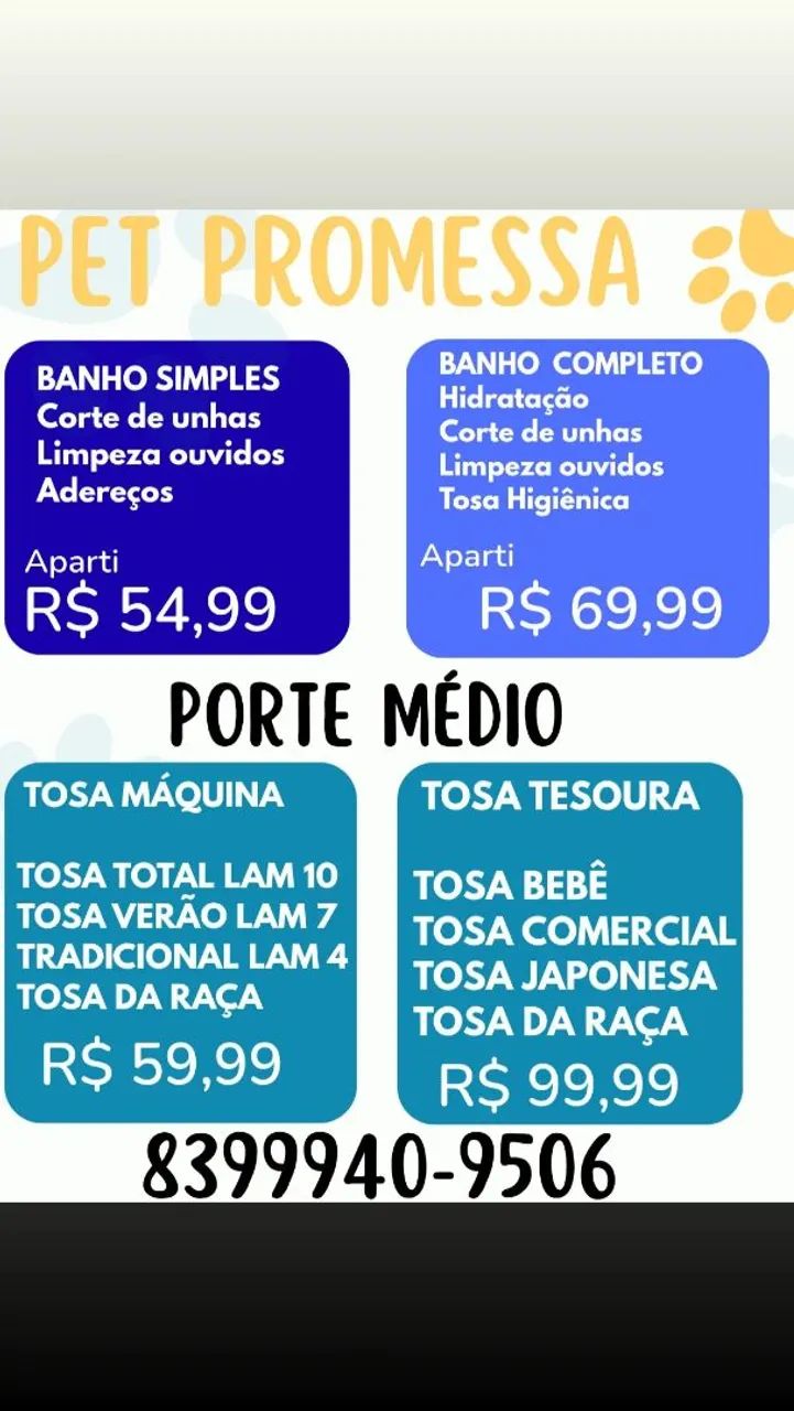 Banho e tosa completo  - Foto 2
