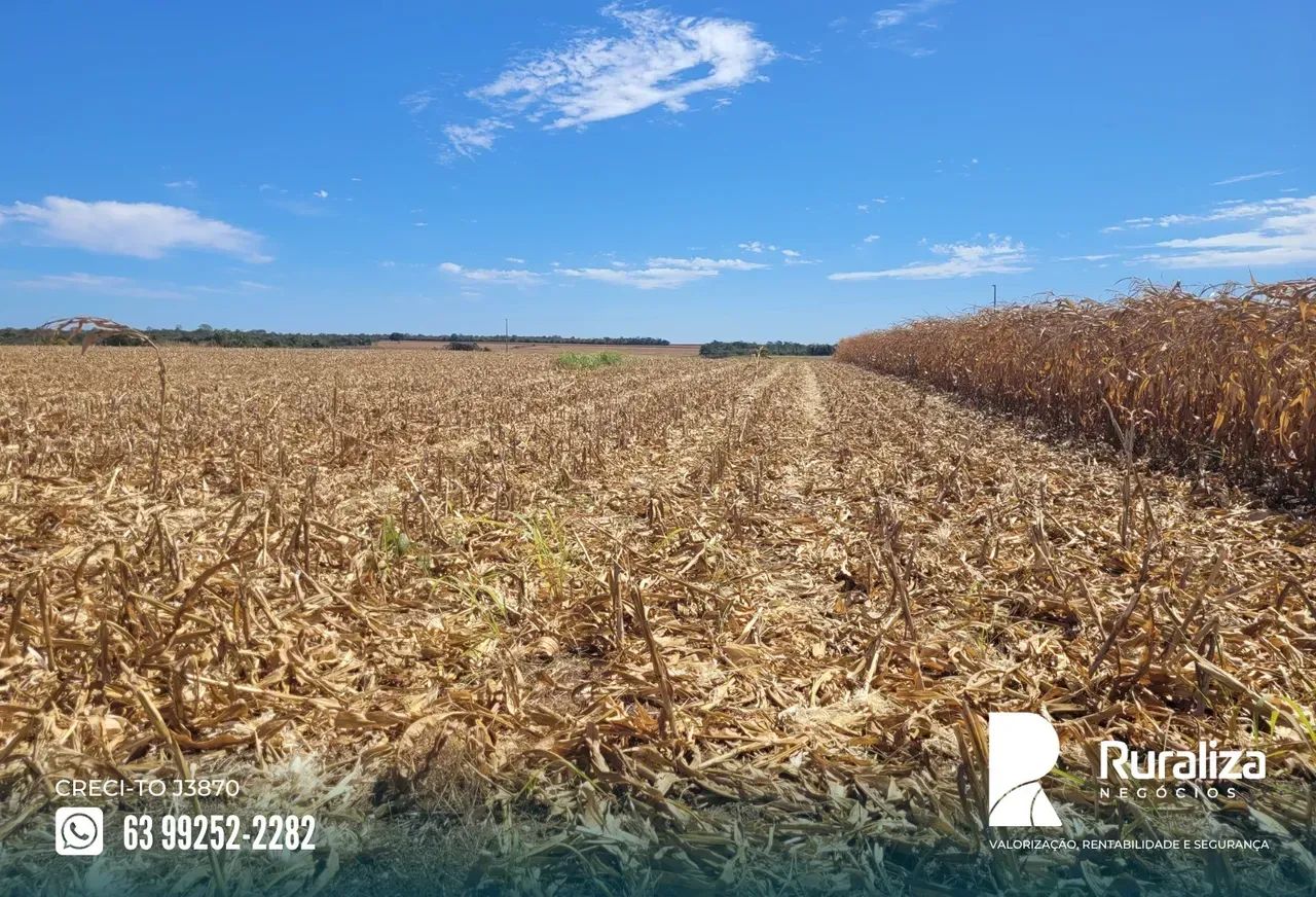 45 HA AGRICULTÁVEIS | NASCENTES | R$ 2,52 MILHÕES - Foto 4