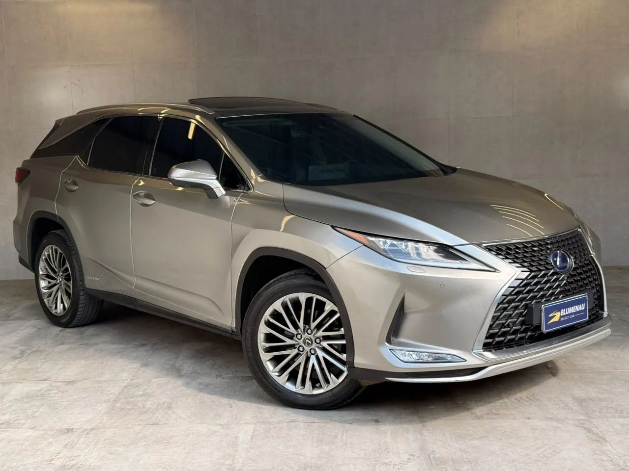 Lexus RX-450h Luxury 3.5 24V V6 Aut.(hybrid), foto 3 de 17