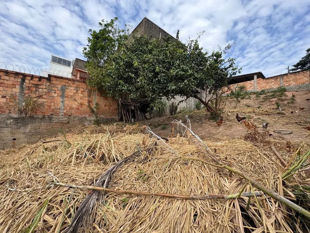 LOTE A VENDA, 360M² - Foto 3