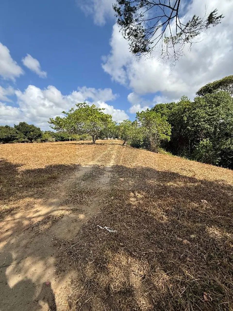 Área na Guabiraba Próximo ao CT do Sport