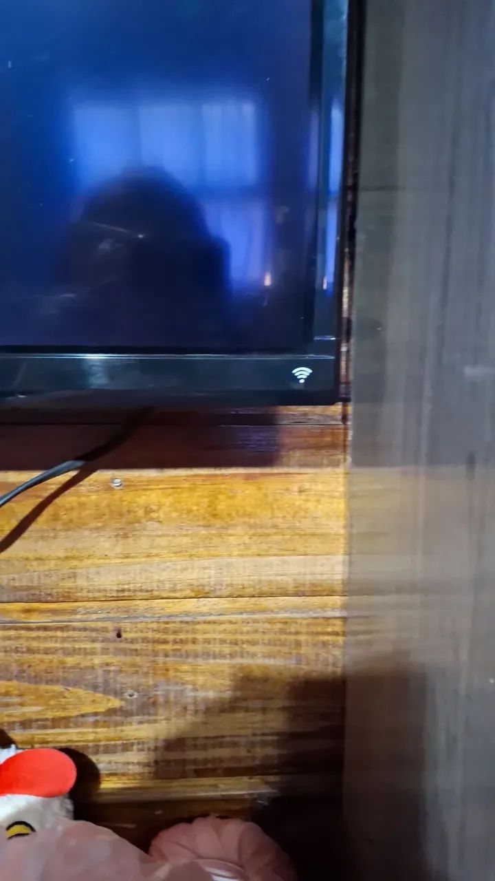 Vendo para desocupar espaço.  - Foto 3