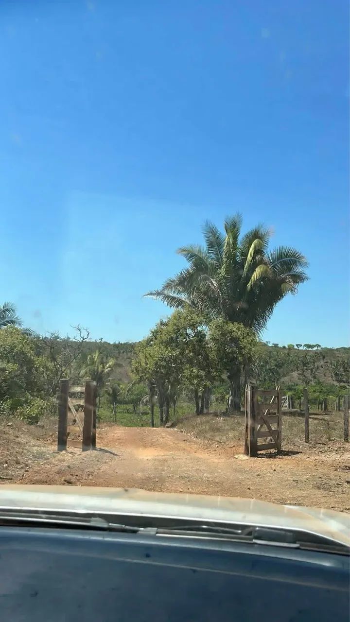FAZENDA À VENDA - MONTE DO CARMO/TO - Foto 2
