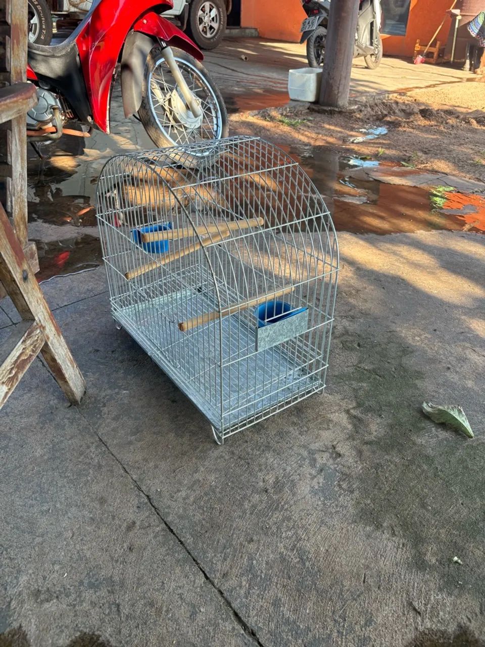 GAIOLA DE PASSARINHO