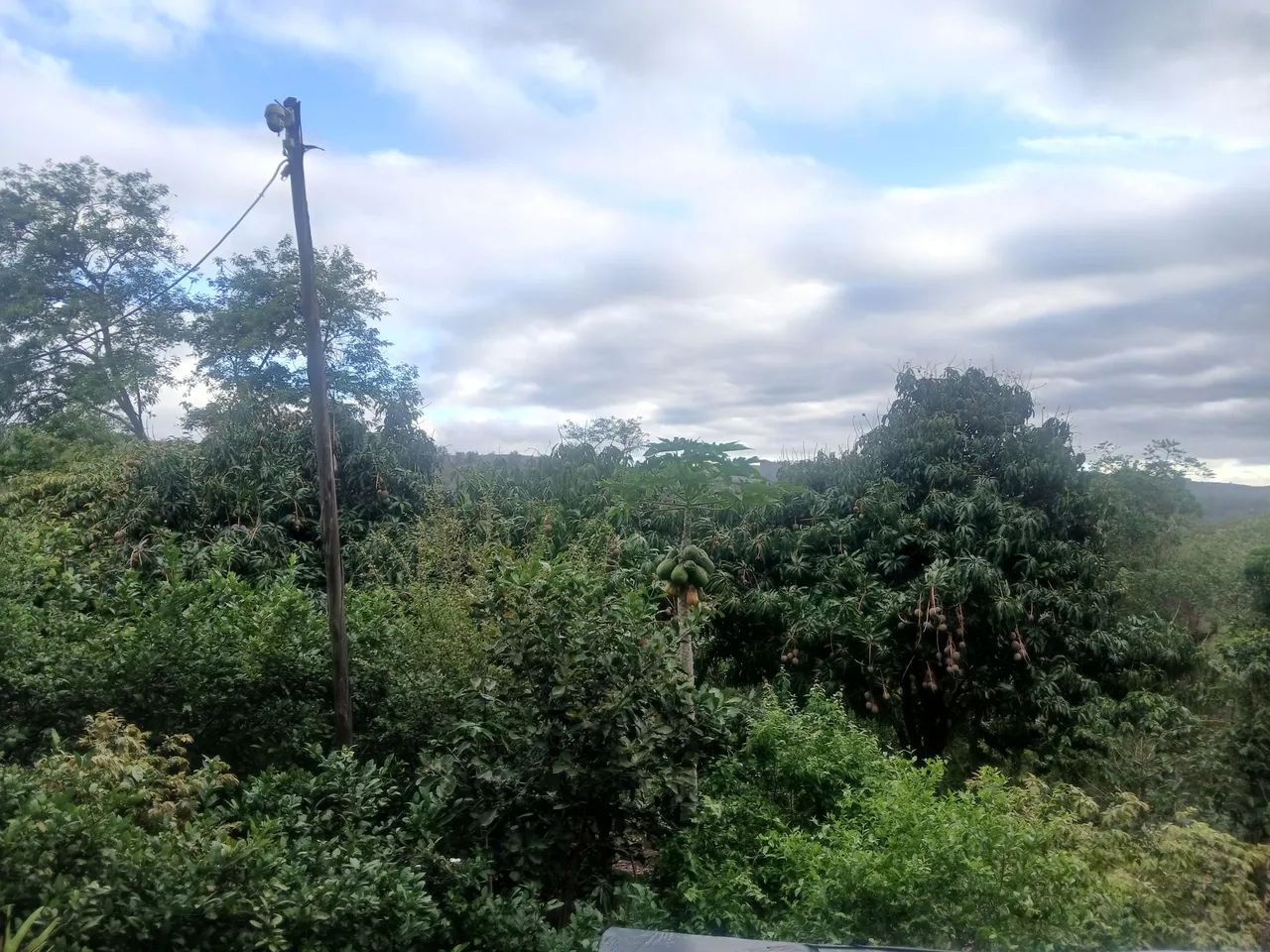 Vendo chácara Jardim maria loiza  - Foto 2