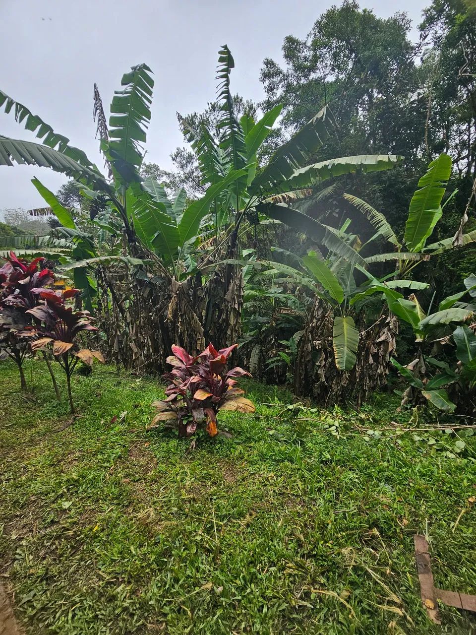 Chara paz e sossego para família  - Foto 3