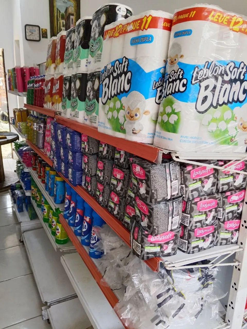 Vendo loja completa de Ração  e Mercearia  - Foto 2