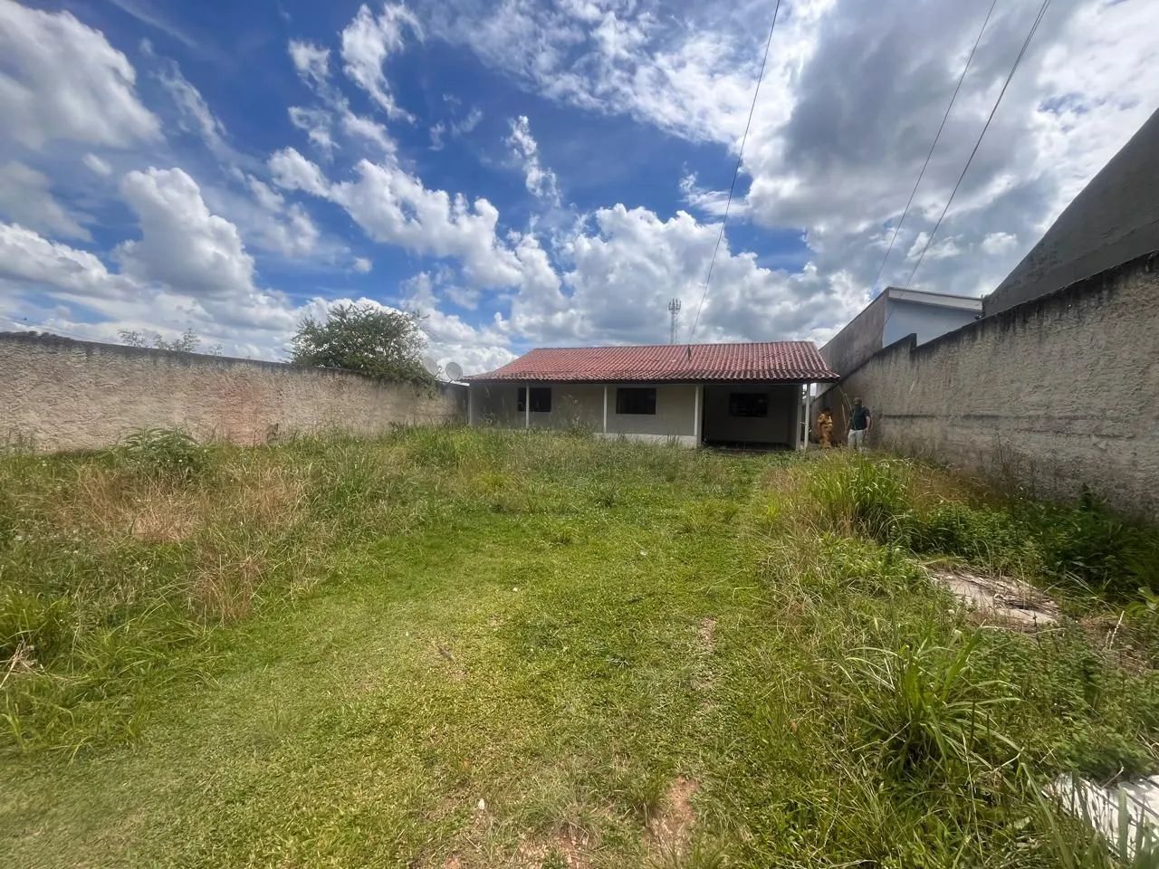 Foto - Fazenda Rio Grande - Gralha Azul