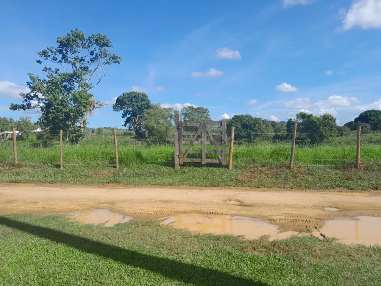 Vendo Fazenda em Itapé - BA - Foto 3