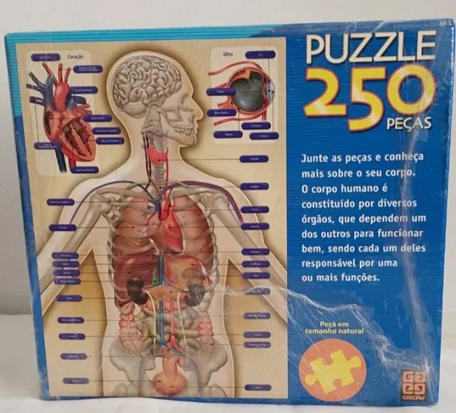 Quebra Cabeça Corpo Humano