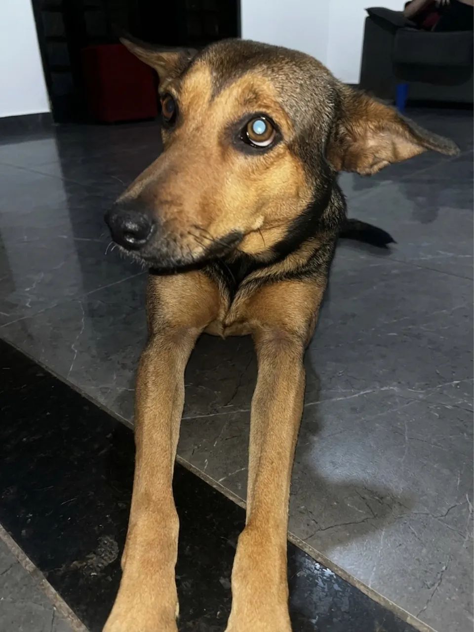 Doação - Foto 2