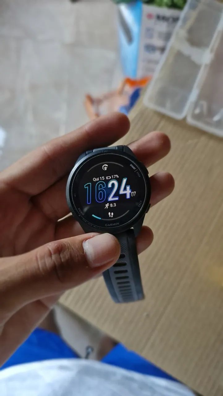 Garmin 165