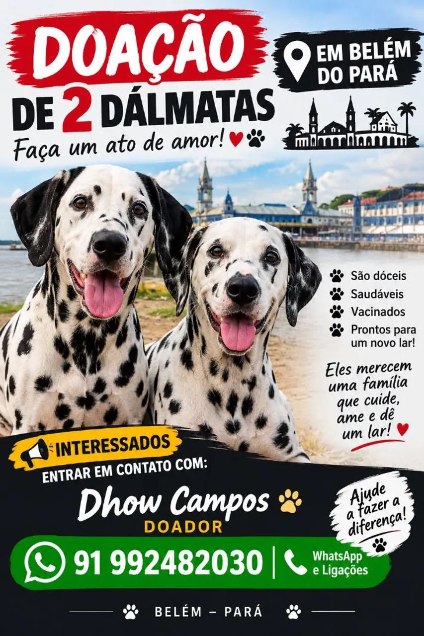 Cachorro 