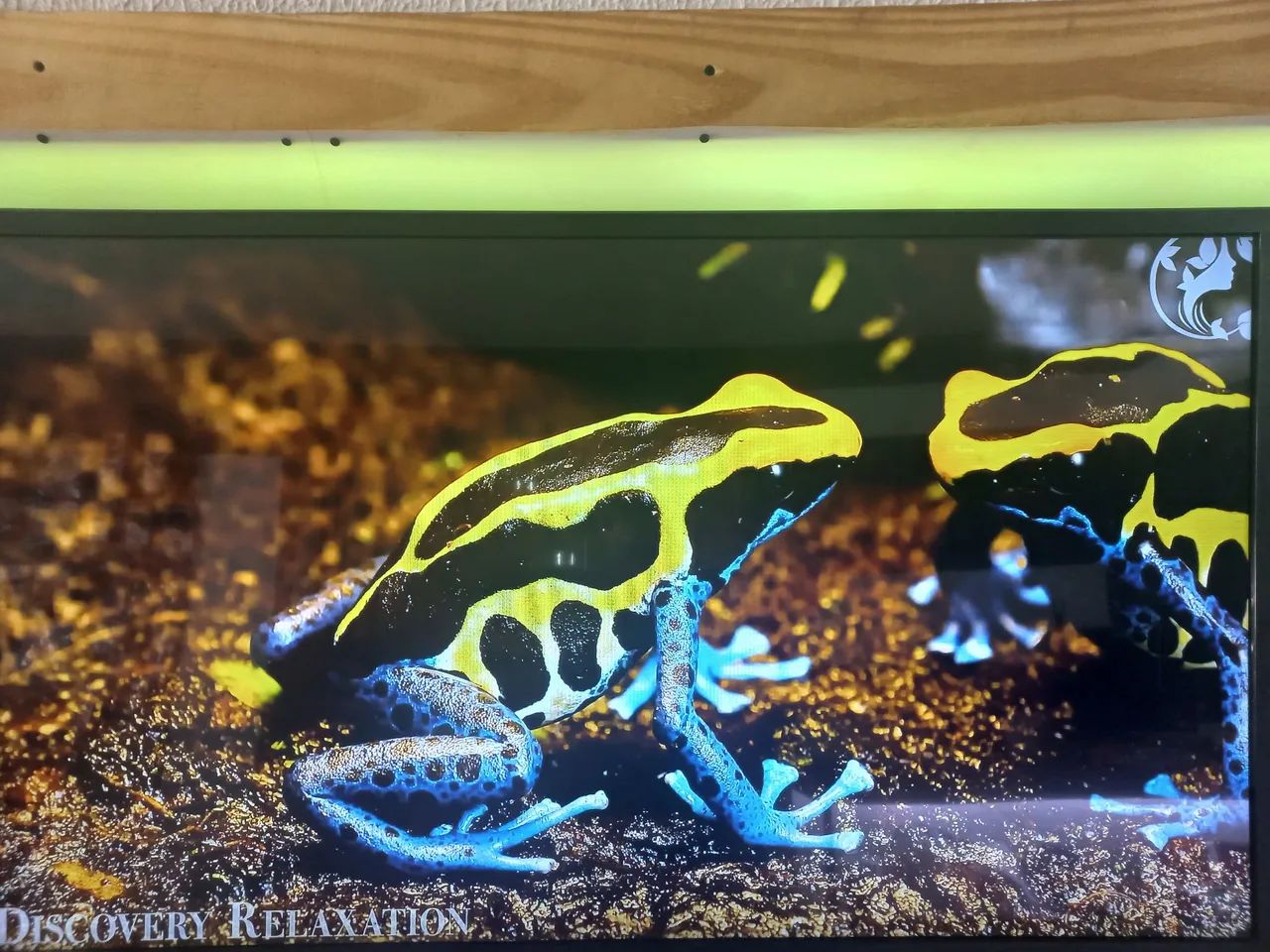 TV 47 polegadas normal ótima HDMI e vídeo game  - Foto 4