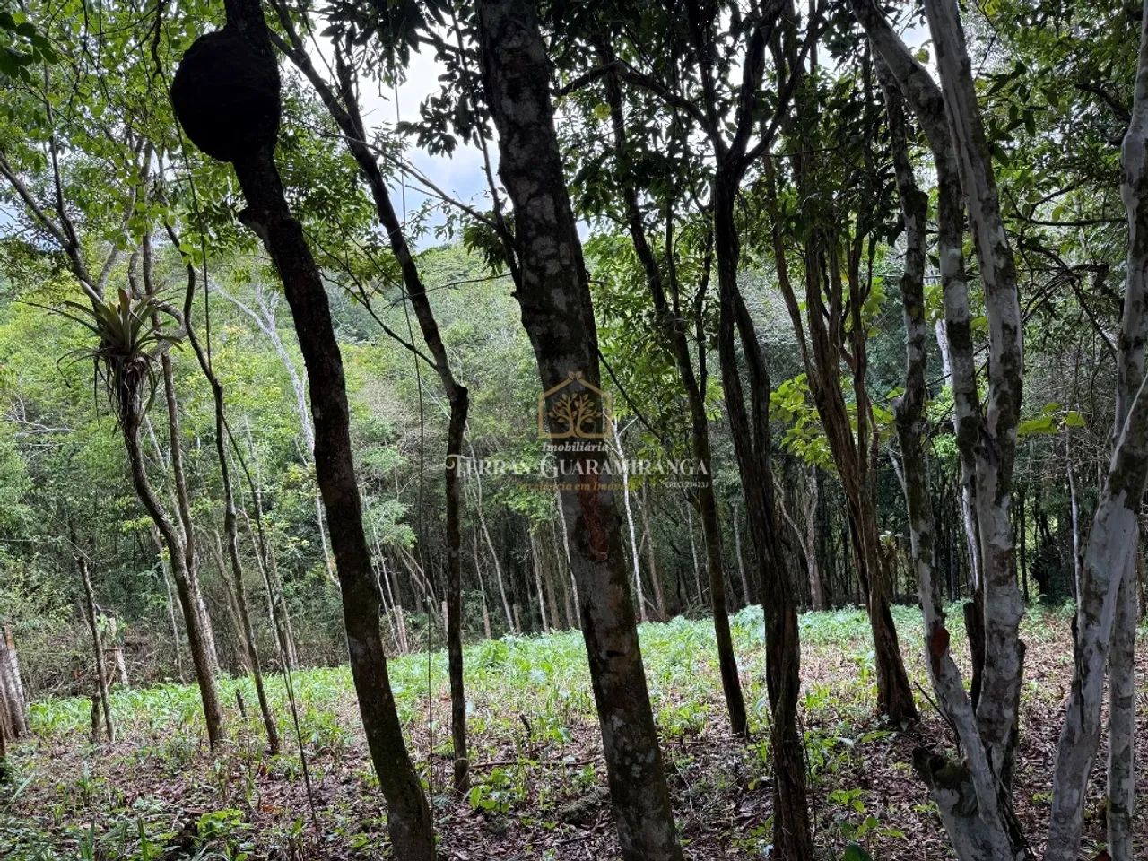 Seu Refúgio nas Montanhas de Guaramiranga