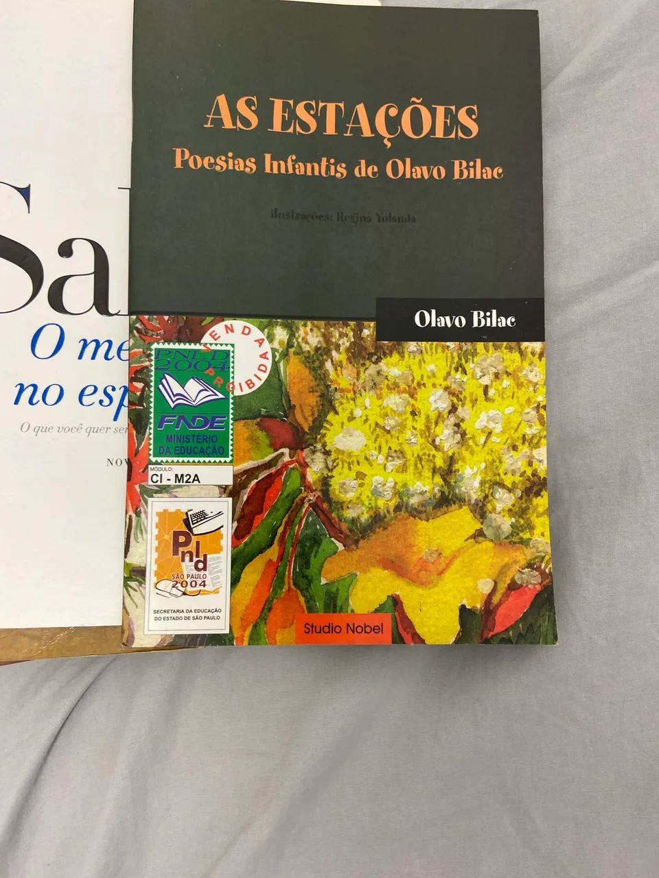 Kit de 13 livros de diversos gêneros literários   - Foto 6