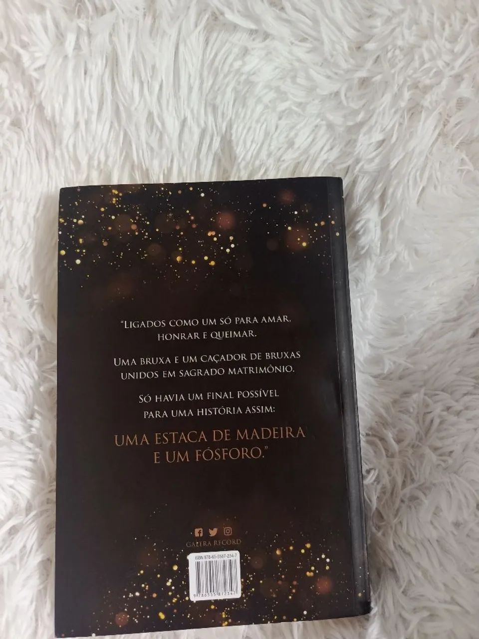 Livro: Pássaro & Serpente  - Foto 2