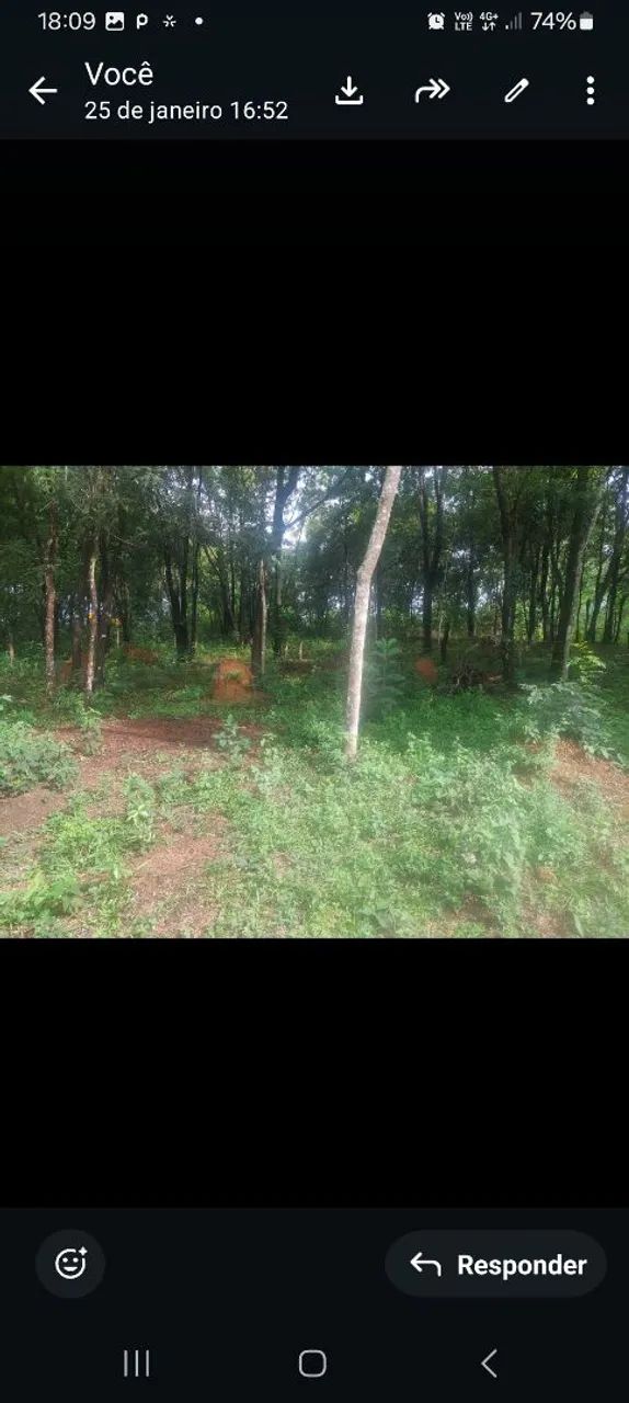 Vendo lote na reta2 250m - Foto 3