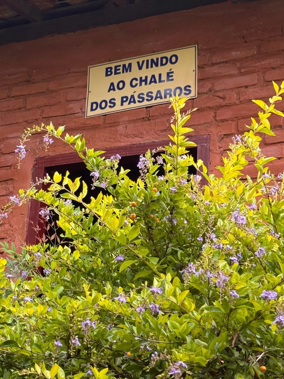 Aluga-se sítio Chalé dos pássaros temporada - Foto 12