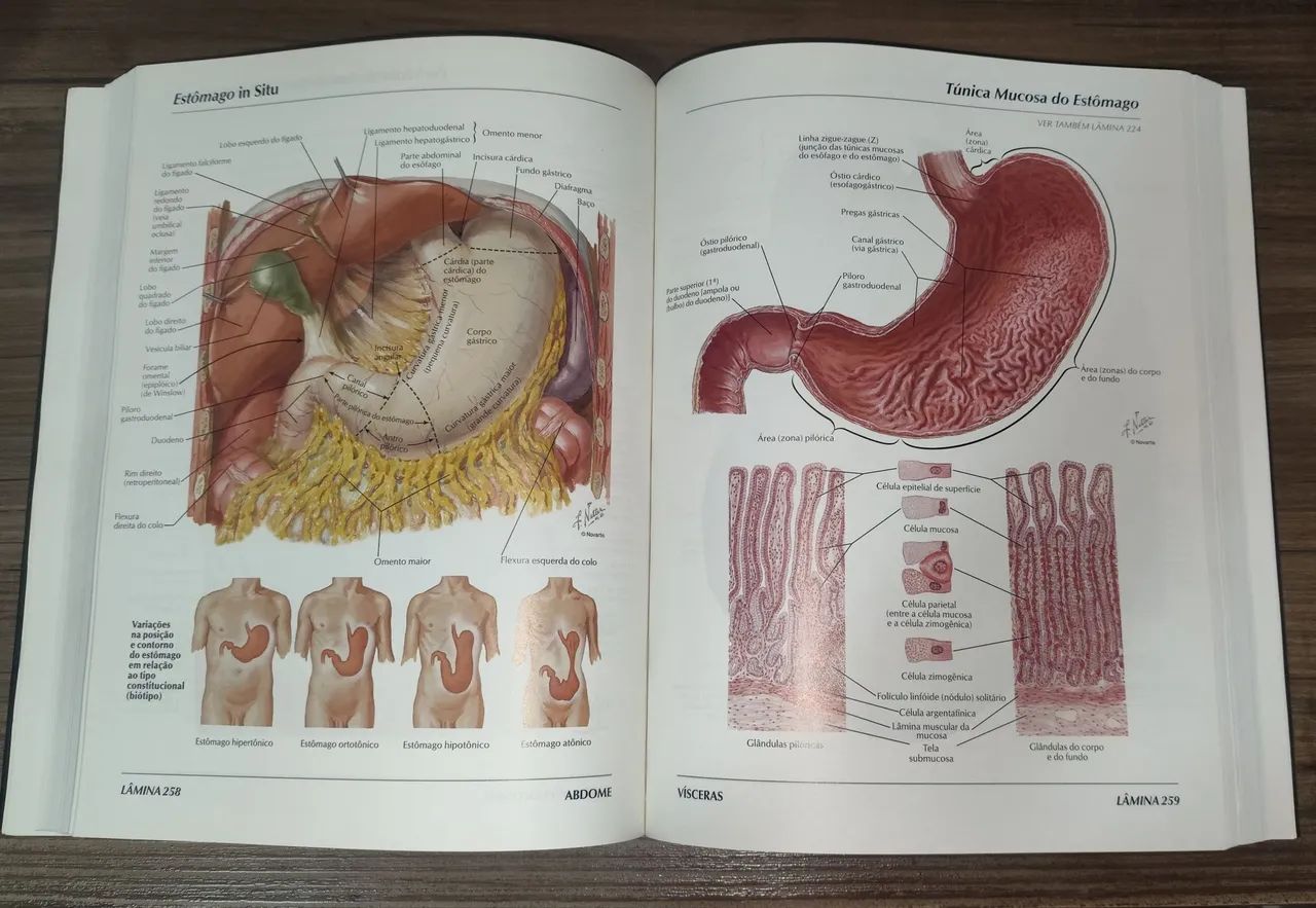 ATLAS ANATOMIA NETTER 2 edição  - Foto 2