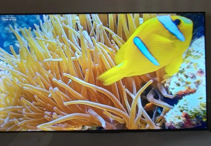 Tv Tcl 55 polegadas Smart Toda Boa - Foto 4