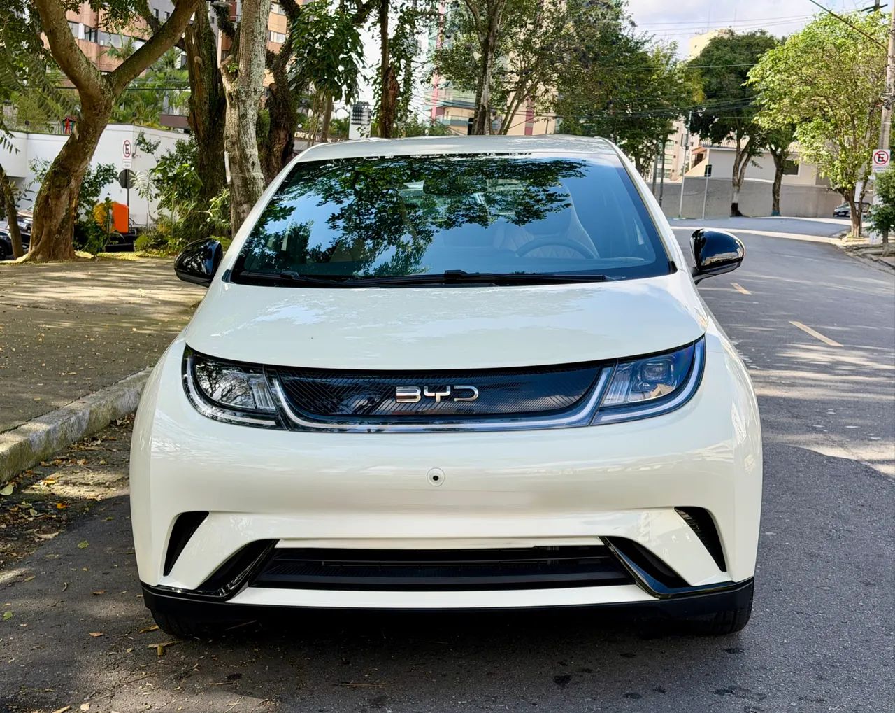 BYD Dolphin GS (Elétrico) 2027 - Foto 2