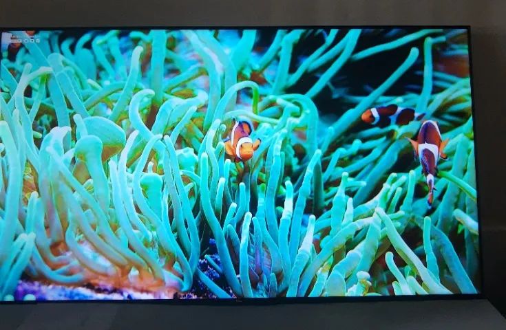 Tv Tcl 55 polegadas Smart Toda Boa - Foto 5