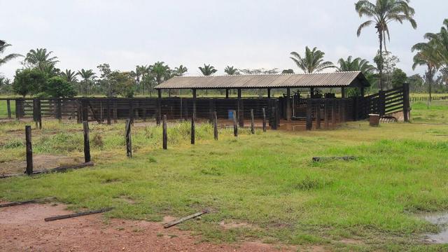 Fazenda no Pará - Foto 2