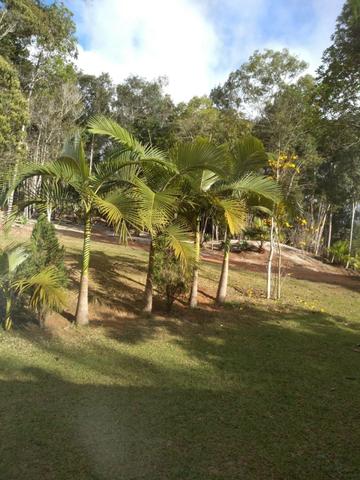 Propriedade a venda em pedra azul - Foto 2