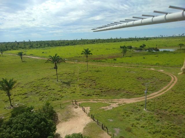 Fazenda no Pará - Foto 14