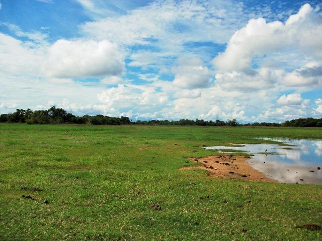 Excelente Fazenda no Pantanal do Mato Grosso do Sul - Foto 7