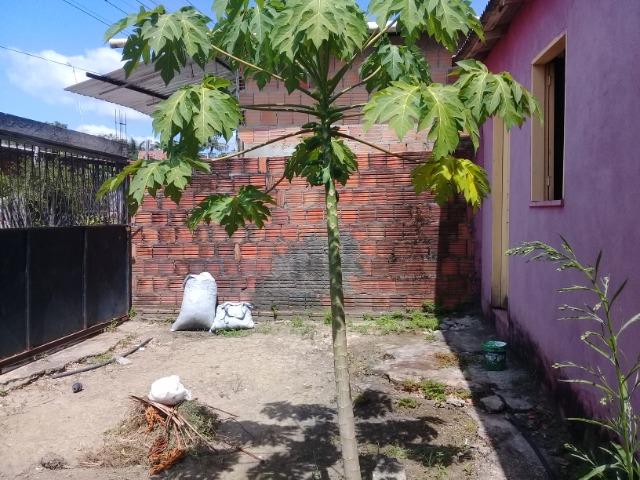 Vendo ou troco casa no Rio Preto da Eva - Foto 5