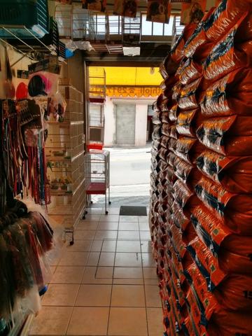 Pet Shop - Foto 7
