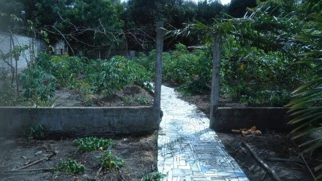 Excelente chácara medindo 26x133 em Atalaia - Foto 10