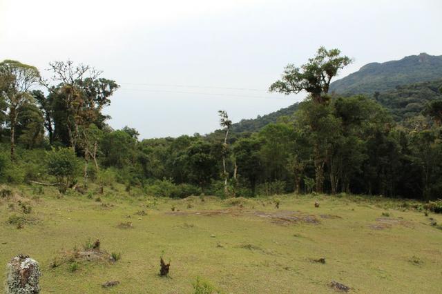 Terrenos próximo a Represa - Foto 13