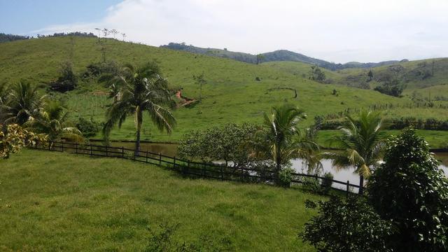 Jordão Corretores - Fazendinha 21 Hectares Papucaia - Foto 10