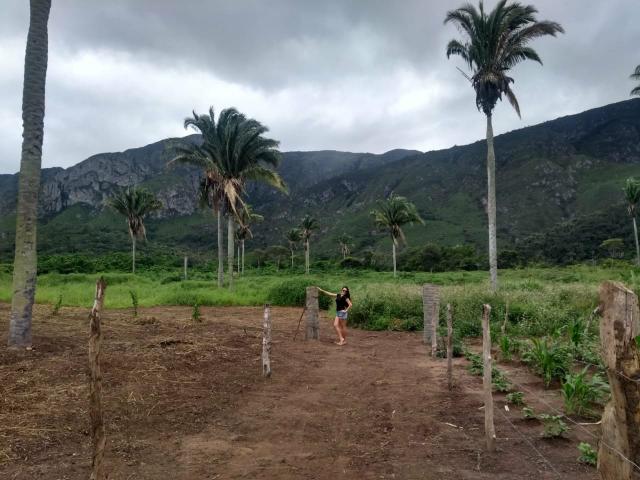 Terreno em itaitu/jacobina-OPORTUNIDADE! - Foto 8