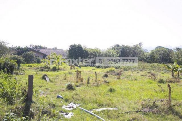 Terreno à venda em Morro santana, Porto alegre cod:113388 - Foto 3