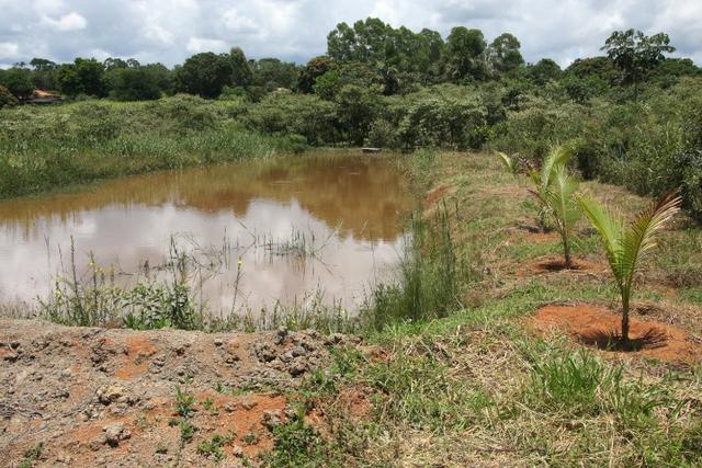 Sítio de 3 hectares 30.000m² por 100.000,00 - Foto 2