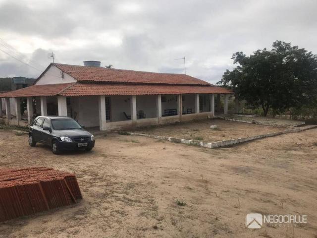 Excelente granja em são josé da mata (10 hectares) - Foto 6