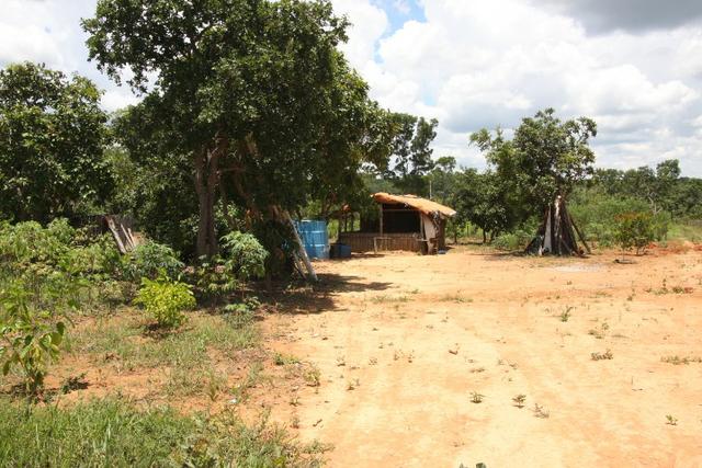 Sítio de 3 hectares 30.000m² por 100.000,00 - Foto 18