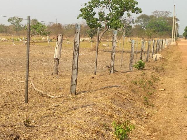 Chácara 2.5 ha, linha 16 cinturão verde - Foto 5