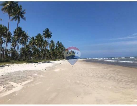 Terreno à venda, 117242 m² por r$ 3.100.000 - aritaguá - itacaré/ba - Foto 4