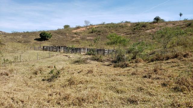 Fazenda 42 Alqueires em Campanário/MG, região de Governador Valadares/MG - Foto 11