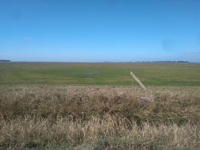 Área de terra 154 ha em Mostardas-Rs - Foto 12