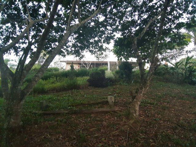 Liiinda Chácara Em Guaramirim - Foto 11