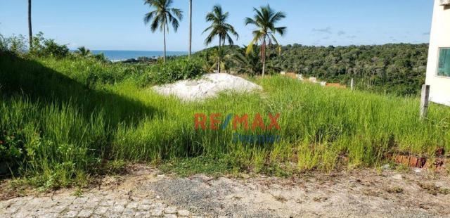 Terreno à venda, 1104 m² por r$ 270.000,00 - nossa senhora da vitória - ilhéus/ba - Foto 7